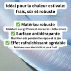 Refreshing Water Mat for Cats 2.0