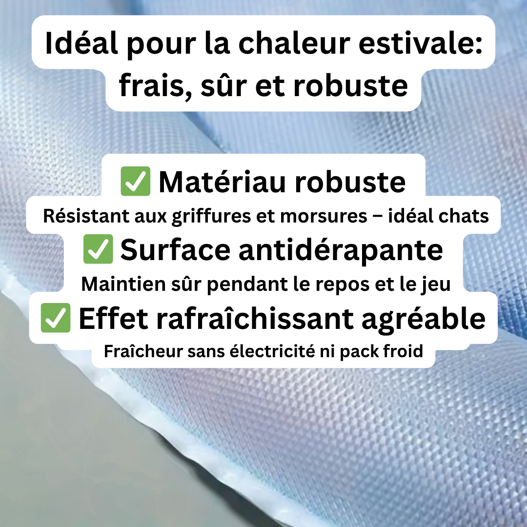 Refreshing Water Mat for Cats 2.0