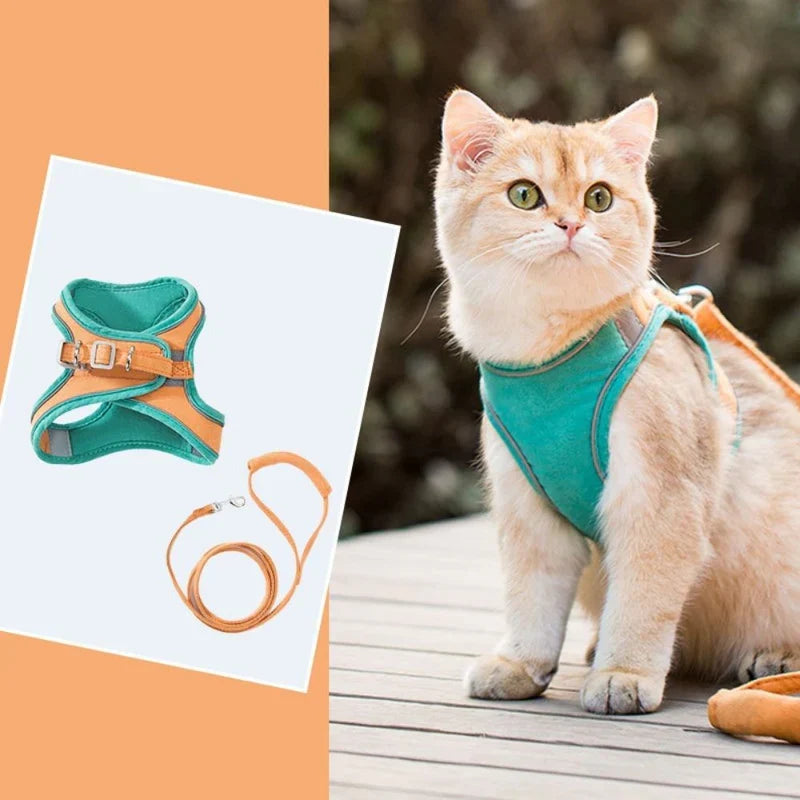 Cute Cat Harness