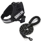 Personalized No-Pull Dog Harness for Easier Walks