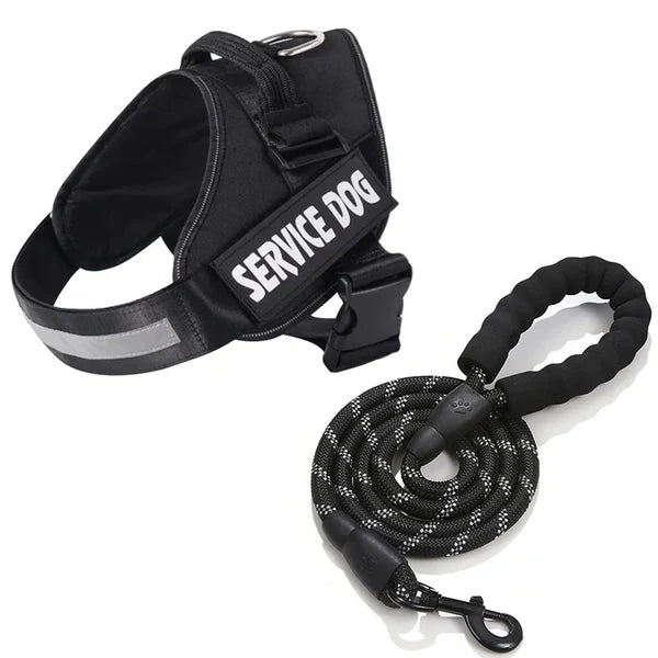 Personalized No-Pull Dog Harness for Easier Walks
