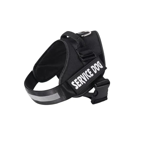 Personalized No-Pull Dog Harness for Easier Walks