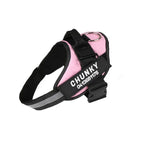Personalized No-Pull Dog Harness for Easier Walks