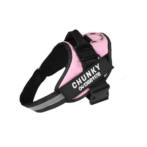 Personalized No-Pull Dog Harness for Easier Walks