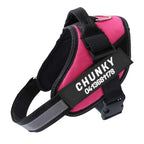 Personalized No-Pull Dog Harness for Easier Walks