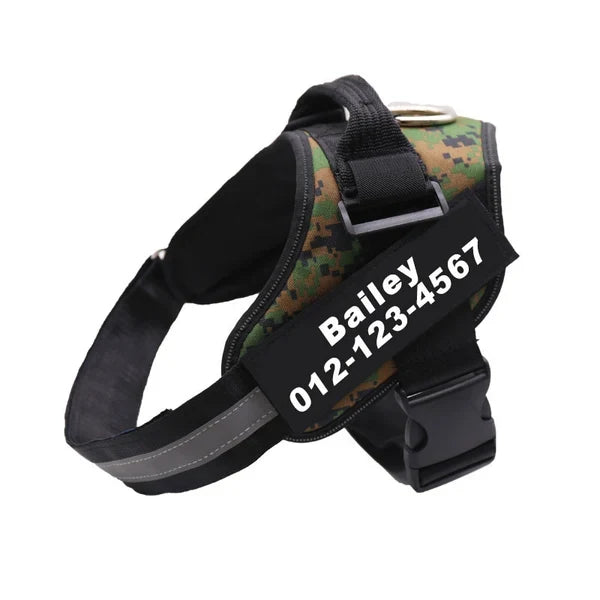 Personalized No-Pull Dog Harness for Easier Walks