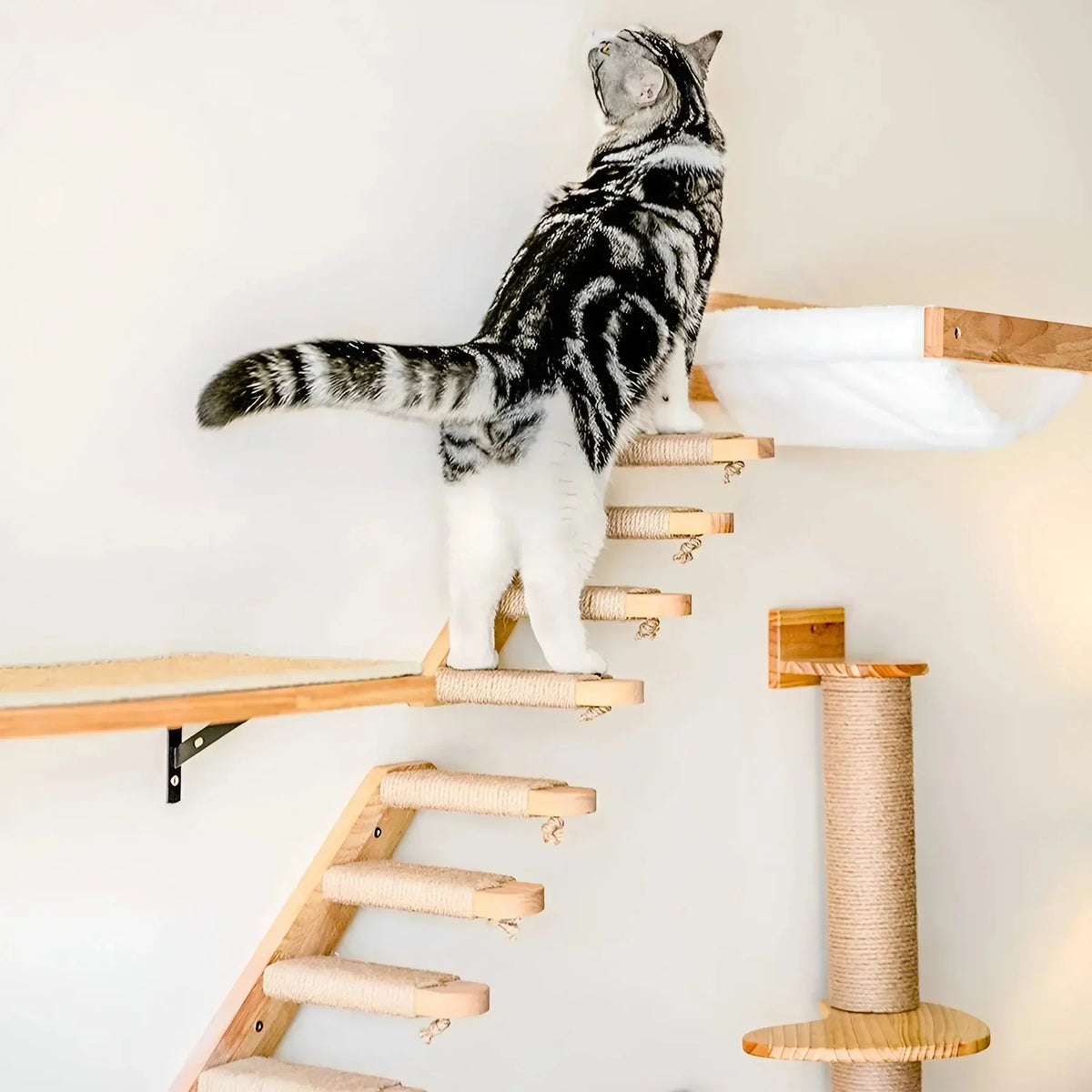 Customizable Wall Cat Tree