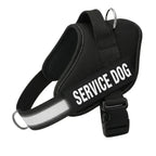 Personalized No-Pull Dog Harness with Front D-Ring – Designed for Neck & Shoulder Relief