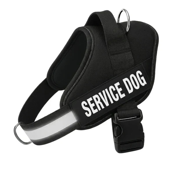 Personalized No-Pull Dog Harness with Front D-Ring – Designed for Neck & Shoulder Relief