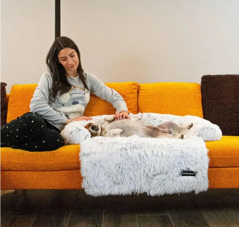 Luxury Dog Sofa