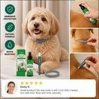 Natural Tick-Free Complete Protection Set for Dogs – The Worry-Free Package