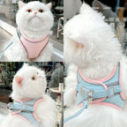 Cute Cat Harness