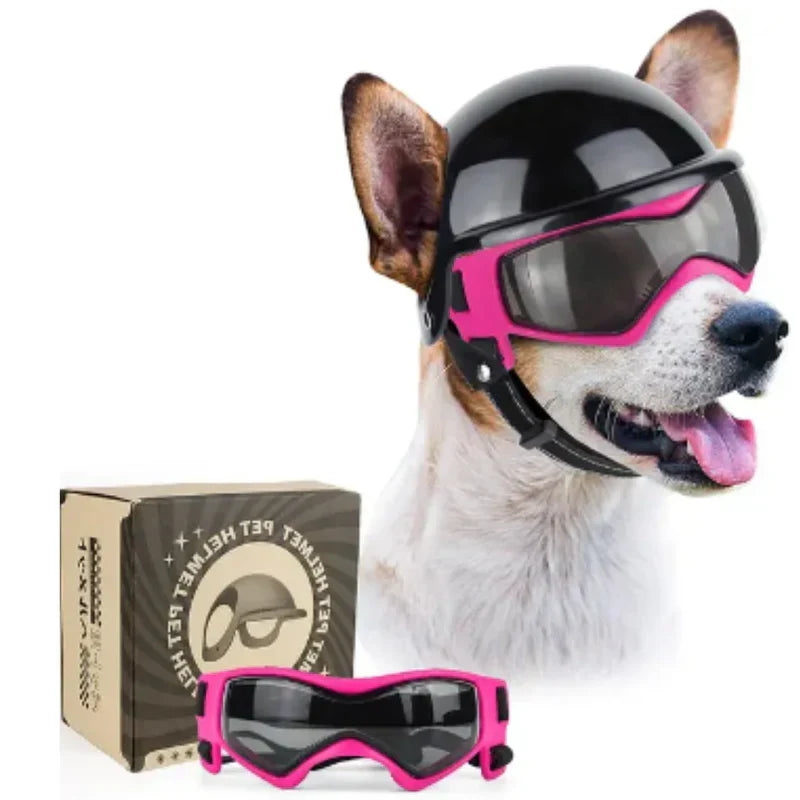 Stylish Dog Helmet with Goggles