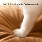 Pet Cuddle Cave