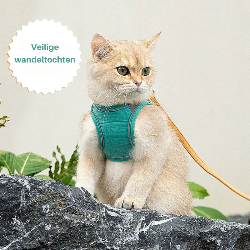 Cute Cat Harness