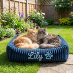 Personalized Fluffy Cloud Cat Bed with Soft Bolsters