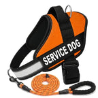 Personalized No-Pull Dog Harness with Front D-Ring – Designed for Neck & Shoulder Relief