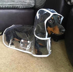 Transparent Waterproof Dog Raincoat