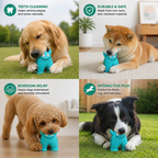 Durable Dog Dental Chew Toy – Tooth Cleaning Monster in Dog Colors