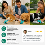 Durable Dog Dental Chew Toy – Tooth Cleaning Monster in Dog Colors