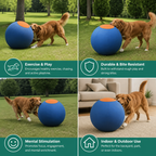Inflatable Bite Resistant Herding Ball for Dogs – Durable Interactive Push & Chase Toy