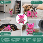 2-in-1 Bear Dog Toy – Squeaky Plush & Dental Chew Ball