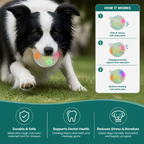 Durable Toy Ball for Stress Relief for Dogs