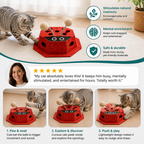 3in1 Interactive Ladybug Cat Puzzle Toy
