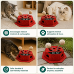 3in1 Interactive Ladybug Cat Puzzle Toy