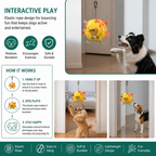 Interactive Hanging Dog Ball Toy with Elastic Play Rope & Hook