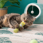 Catnip-Filled Cactus Teeth Cleaning Cat Toy