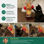 Interactive Kangaroo Boxing Hand Puppet Cat Toy