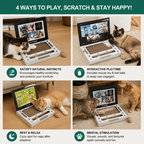 Cardboard Laptop Cat Scratcher & Interactive Toy
