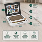 Cardboard Laptop Cat Scratcher & Interactive Toy