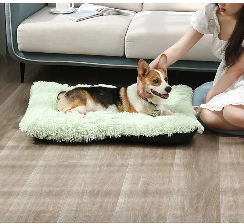 Soft Paw Mat