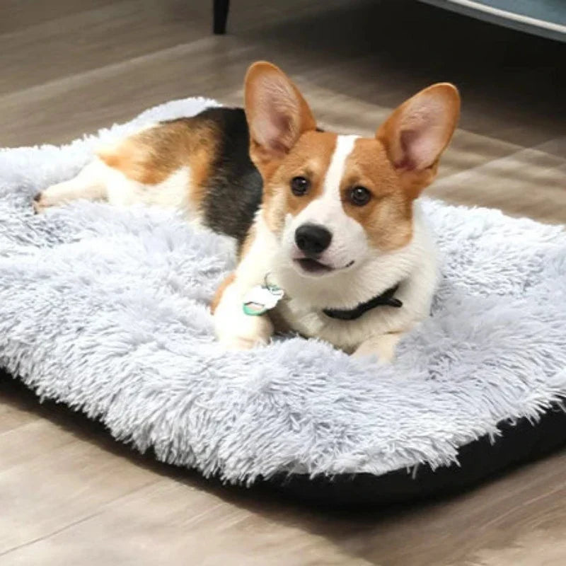 Soft Paw Mat