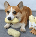 Peanut Shaped Dog Chew Toy, Dental Cleaning