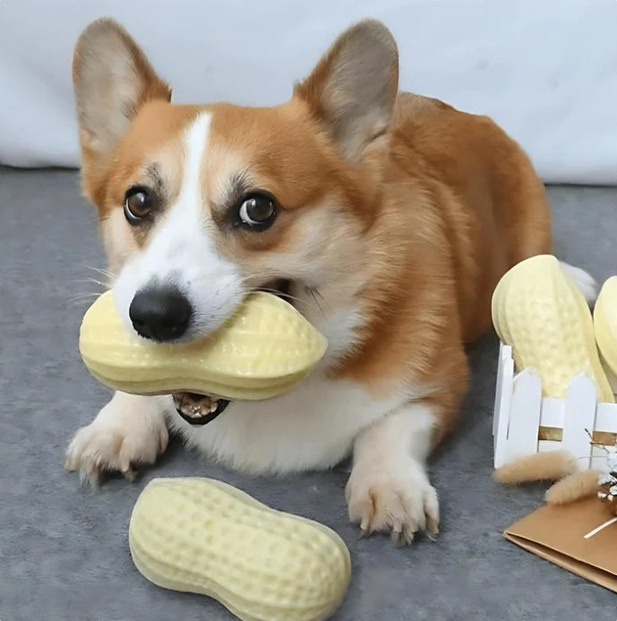 Peanut Shaped Dog Chew Toy, Dental Cleaning