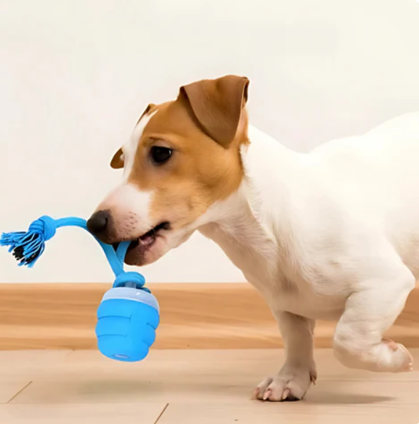 Interactive Chew Toy for Dogs – Movement Fun and Mental Stimulation