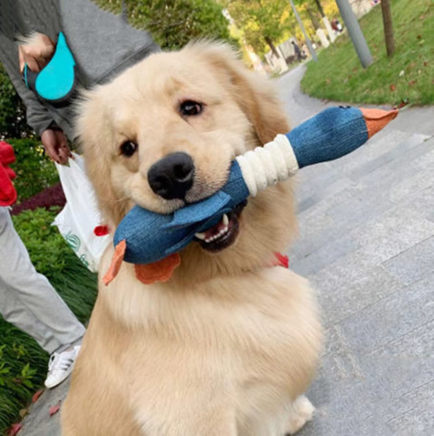 Durable Dog Toys (Buy 1 Get 1 Free Offer)