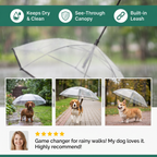 Transparent Dog Umbrella with Leash for Small Dogs