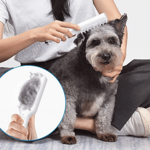 Electric Pet Massage Brush