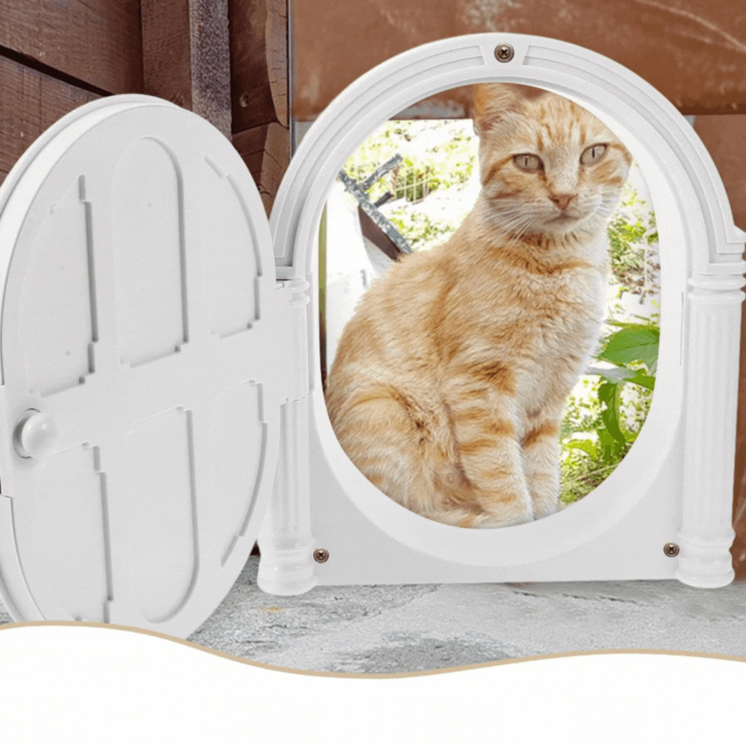 Decorative Entrance Door with Classic Design - Toy for Small Animals