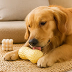 Peanut-Shaped Chew Toy for Dogs, Durable