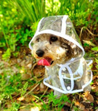 Transparent Waterproof Dog Raincoat