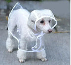 Transparent Waterproof Dog Raincoat