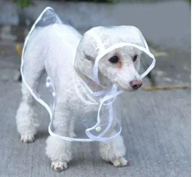 Transparent Waterproof Dog Raincoat