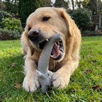 XXL Durable Teeth Cleaning Latex Dog Toy