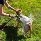 Dog Shampoo – Spray Head