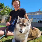 Dog Shampoo – Spray Head